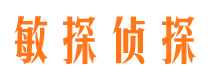 新蔡侦探公司